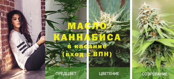 скорость Абаза
