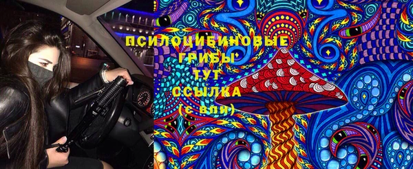 a pvp Алзамай