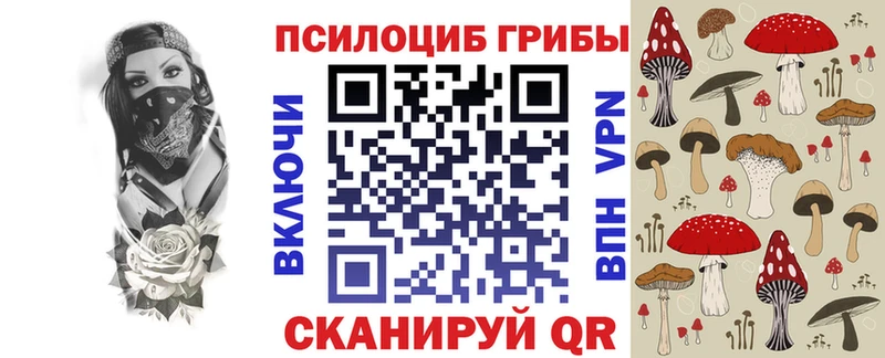 магазин продажи наркотиков  Прохладный  Галлюциногенные грибы Psilocybe 