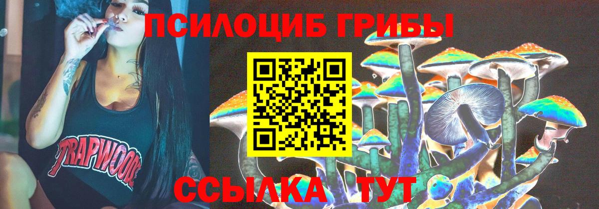 Псилоцибиновые грибы Psilocybine cubensis  Вход с VPN  Прохладный 